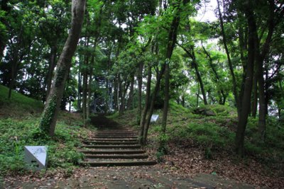 Ryuozaki Kokon no Mori Park