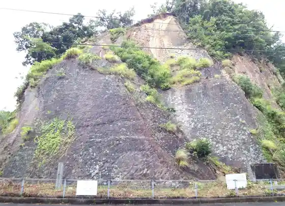 Fossil ripple marks at Shishikui-ura, Kaiyo Town