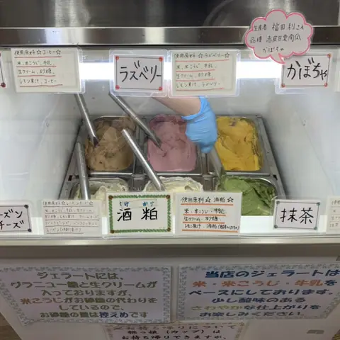 Wakasaya Ice Cream Garden