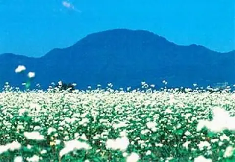 Mt. Azumaneyama