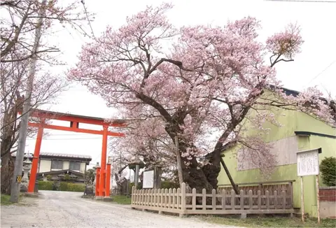 Shigari Wake Shrine