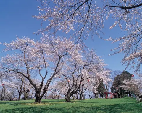 Shiroyama Park