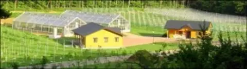 Sunfarm Cherry & Berry Garden