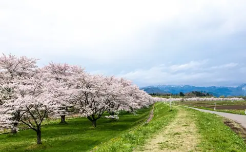 Shizukuishi River Park