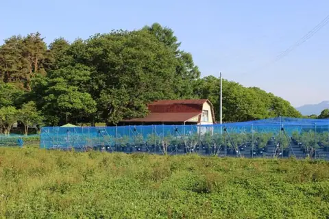 Blueberry Village Nanatsumori