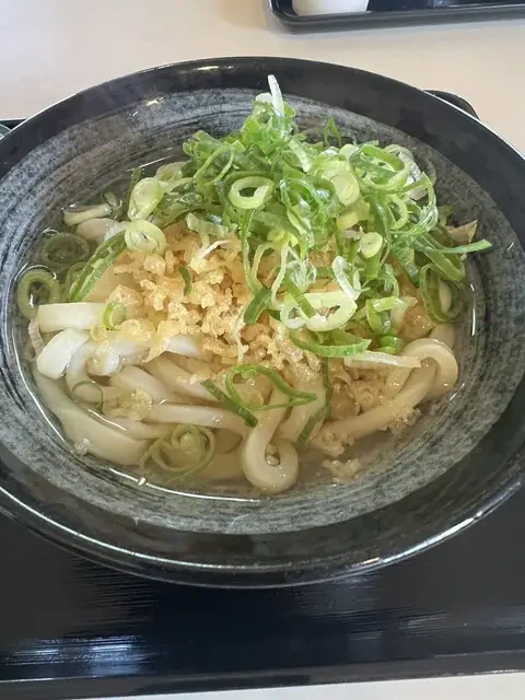 Fujimi Udon