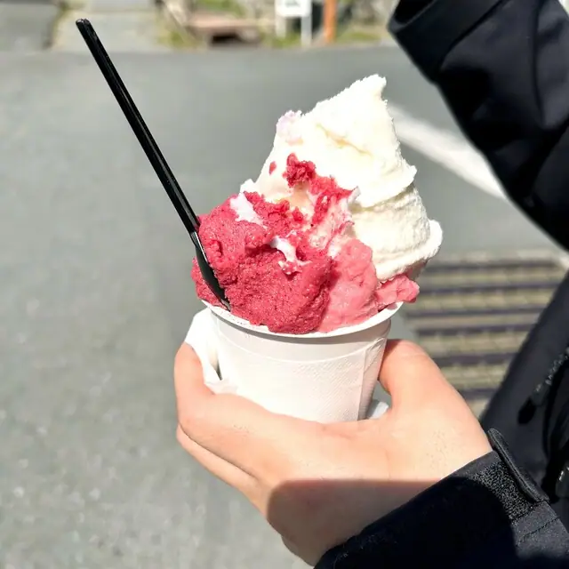 Jieratogenki