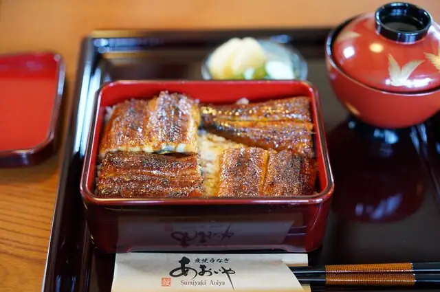 Sumiyaki Unagi Aoiya