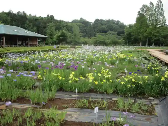 Sodegaura Park