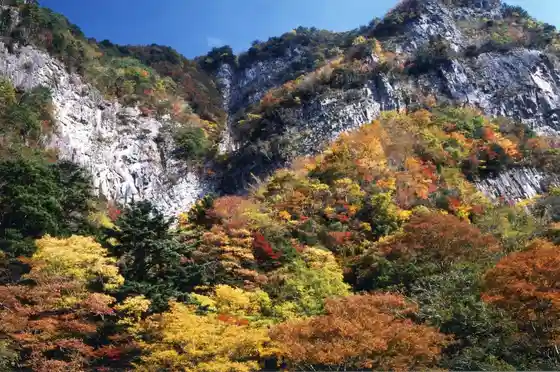 Oku Kyochi Kei