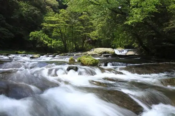 Okawara Gorge Campsite