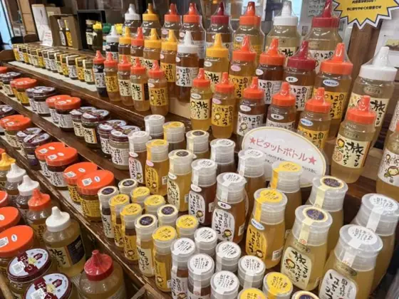 Roadside Station Sueyoshi