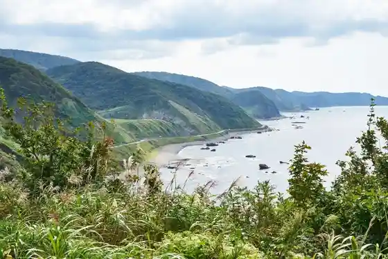 Tatsudomari Line
