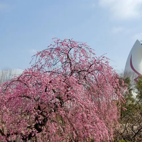 Banpaku Memorial Park
