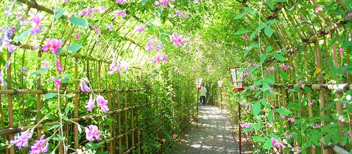 Ko Shima Hyaku Flower Garden