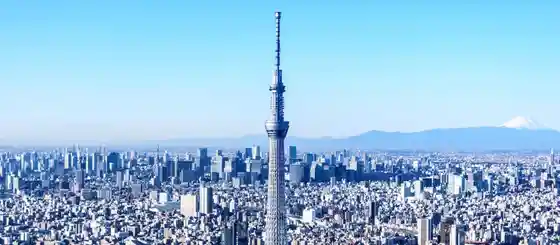 Tokyo Sukaitsurii ®