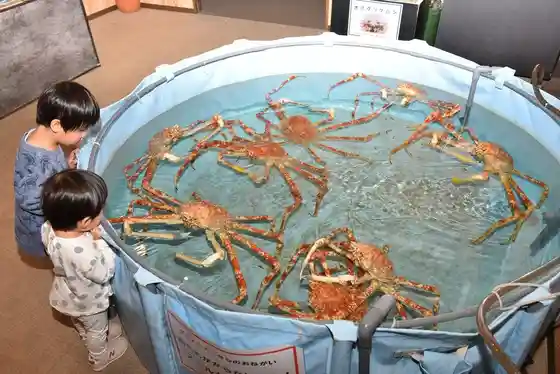 Ebi to Kani no Aquarium