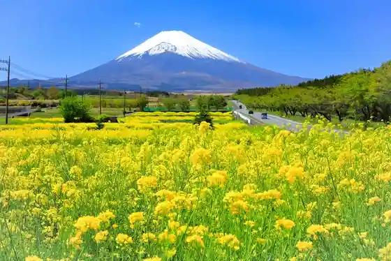 Fujisan Susono Panorama Road