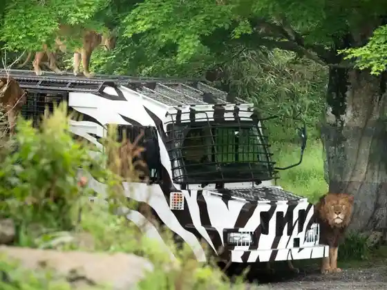 Fuji Safari Park