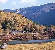 Gomiike Happu Plateau Autumn Foliage