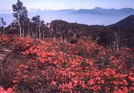 Gomiike Happu Plateau