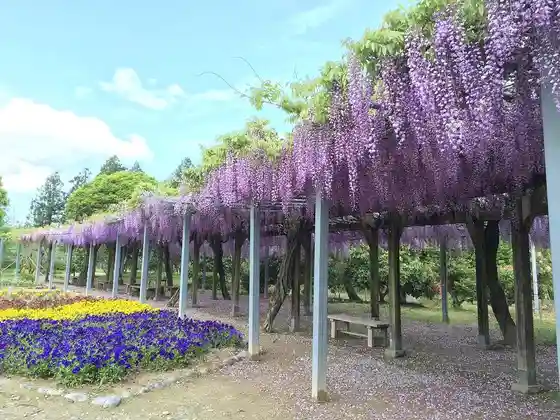 Nohara no Village Park