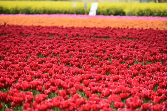 Nagaike Ikoi no Mori Park