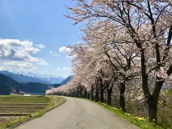 Tainai Kawa Kasenjiki Sembonzakura
