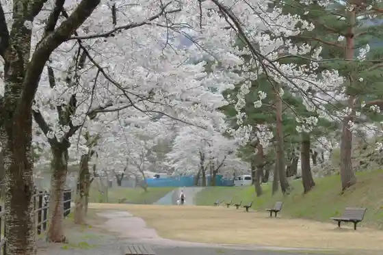 Tarugahashi