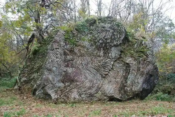 Tainai no Nami Ishi Gun