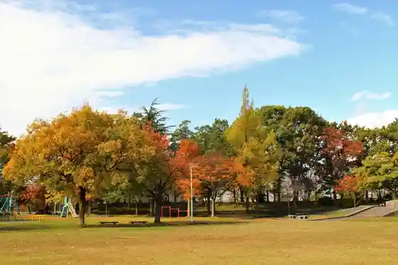 Kita Park