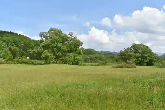 Tainai Muryo Campground Natsui River Park