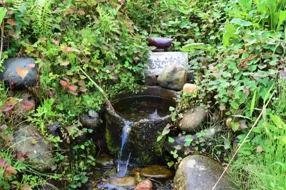 Satoyama Pikunikku
