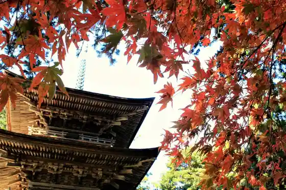 Otsu Aki no O Tera Sanpo