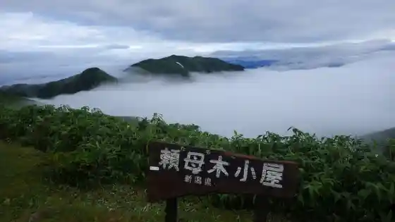 Tanomogi Yama Tainai Tozanguchi