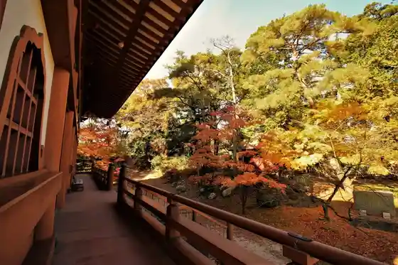 Otsu Takara Tera
