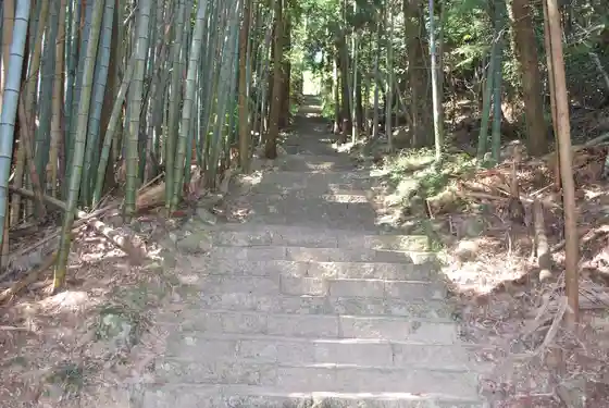 Oyama Tera
