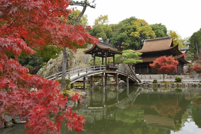 Kokei Yamaei Ho Tera no Autumn Leaves