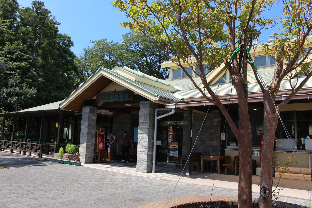 Roadside Station Takachiho