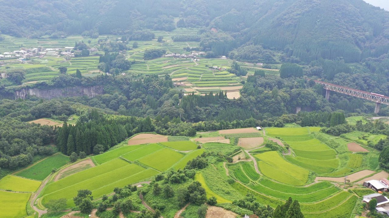 Odonokuchi Rice Terraces