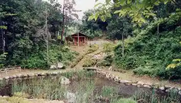 Tsukumo Tani Forest Park