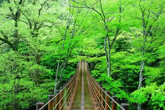 Hananuki Gorge