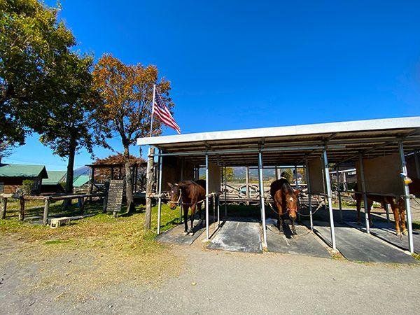 Bluegrass Horseback Riding