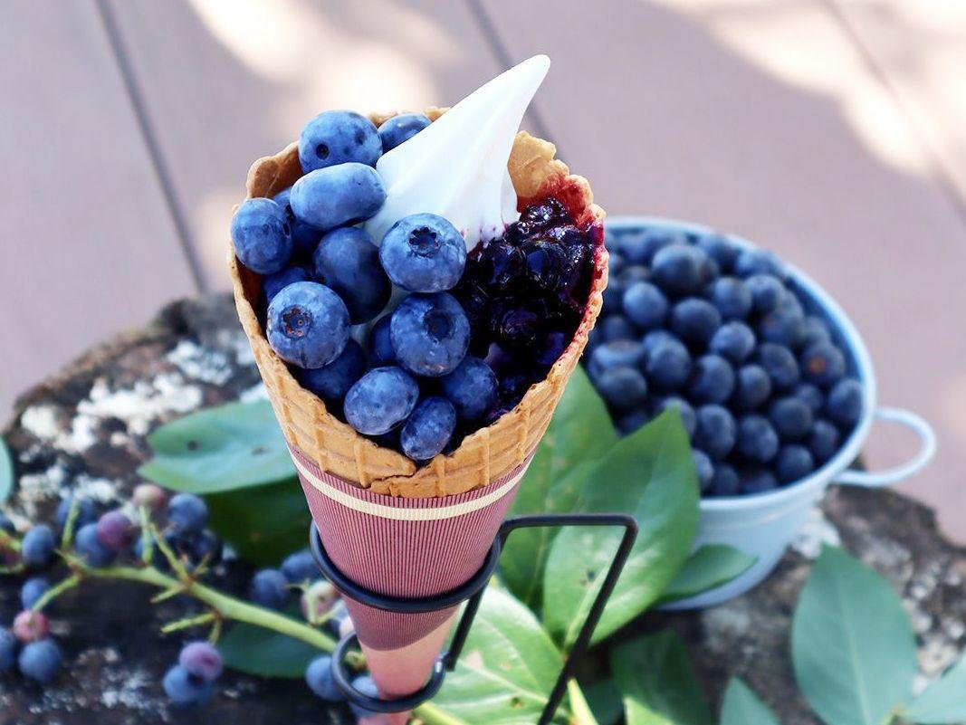 Daiaso Blueberry Farm Asoburu