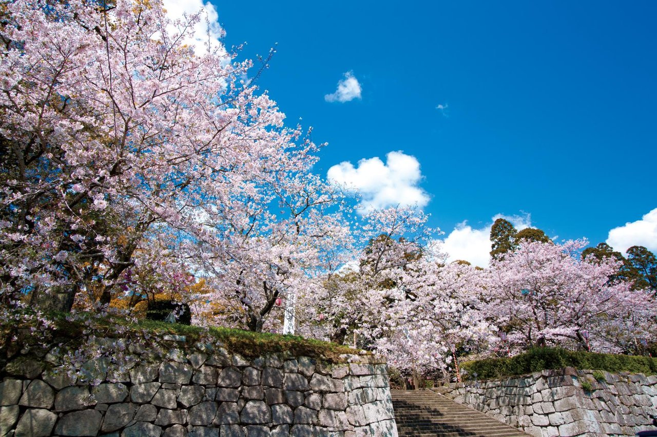 Maizuru Park