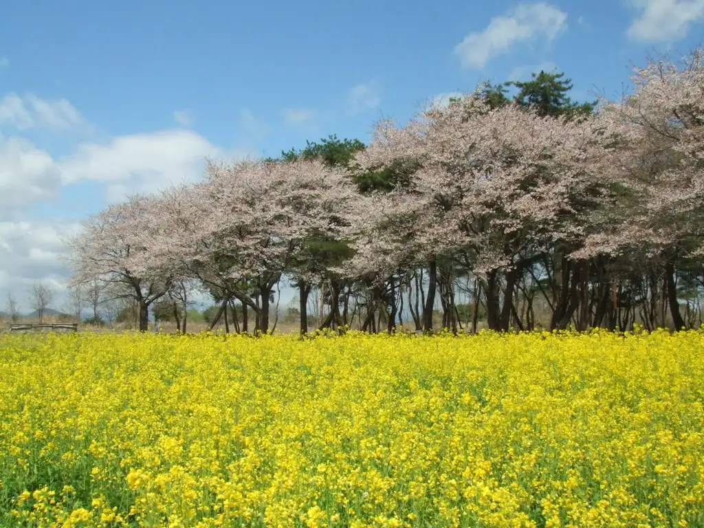 Kinu Green Park