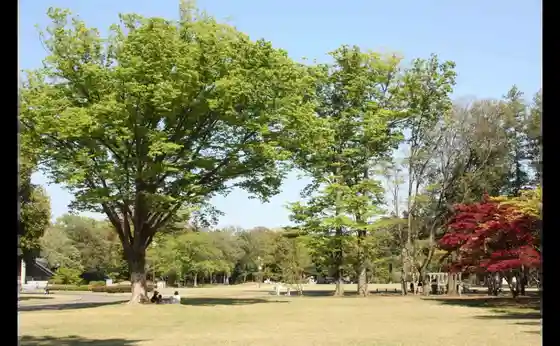 Gunma Prefectural Park IDEA Gunma Forest