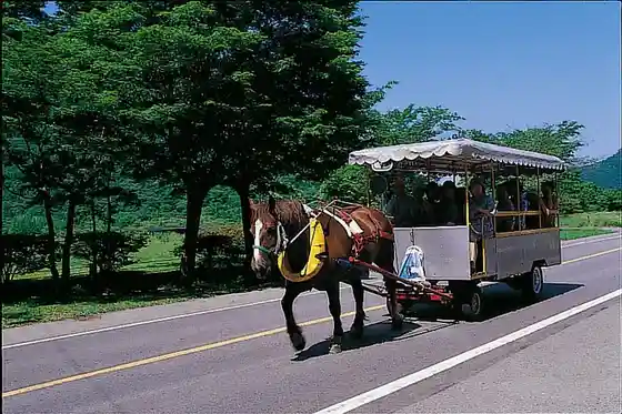 Lake Haruna Tote Carriage