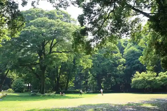 Gunma Forest Park