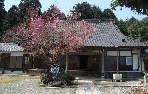 Nishie Tera
